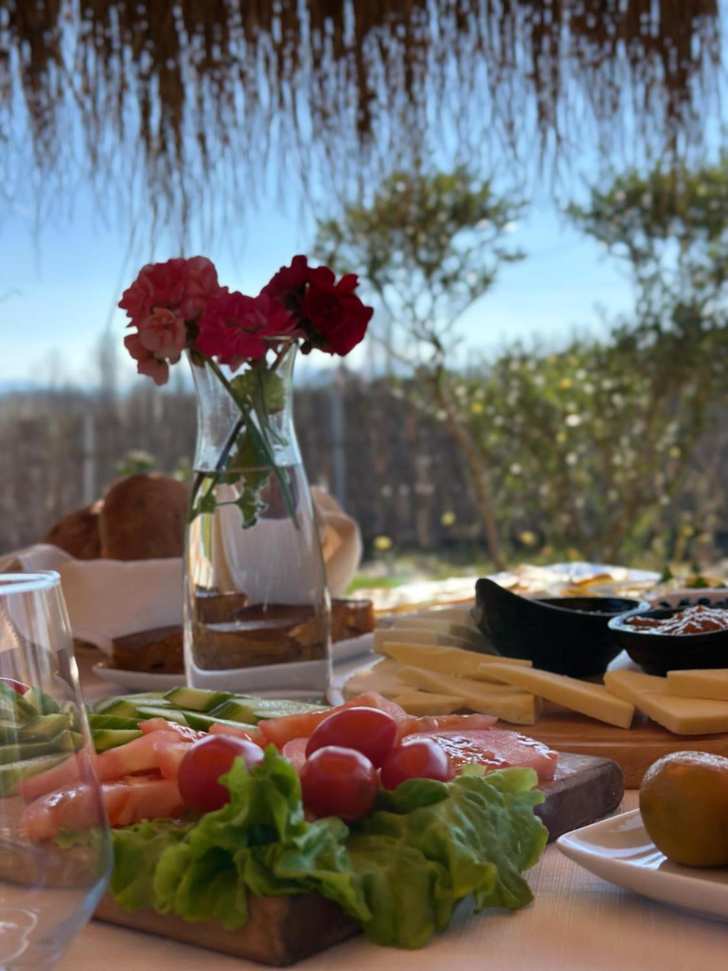 Natyra E Ishullit - Hotel, Ristorant, - Lezhe, Shengjin, Shengjin Lezhe, Shengjin, Lezhe Resort